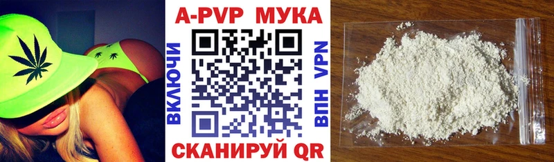 MEGA как войти  Стародуб  Альфа ПВП СК 