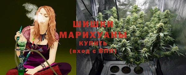 ГАЛЛЮЦИНОГЕННЫЕ ГРИБЫ Медвежьегорск