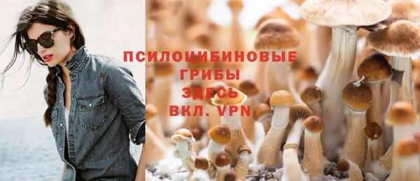 ГАЛЛЮЦИНОГЕННЫЕ ГРИБЫ Медвежьегорск