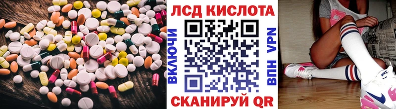 где найти Стародуб LSD-25 экстази ecstasy